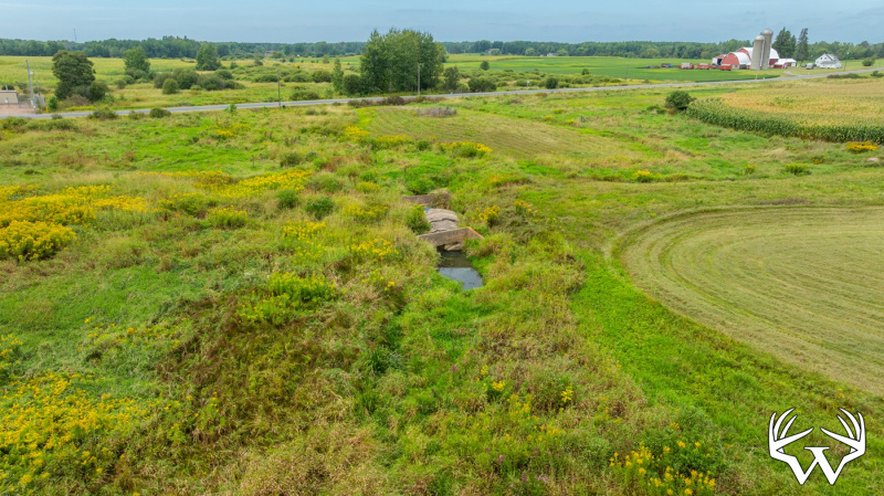 DJI_20260831143037_0008_D.jpg