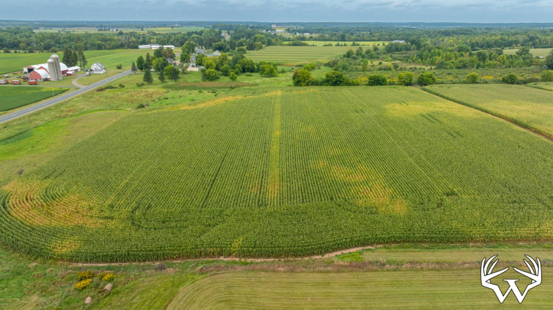 DJI_20260831143049_0009_D.jpg