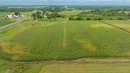 DJI_20260831143049_0009_D.jpg