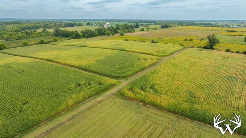 DJI_20260831143054_0010_D.jpg