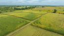 DJI_20260831143054_0010_D.jpg