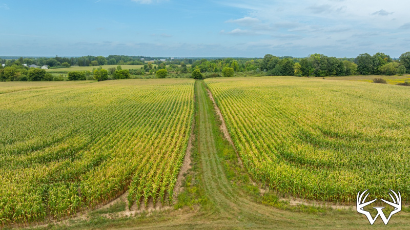 DJI_20260831143127_0012_D.jpg