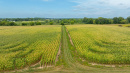 DJI_20260831143127_0012_D.jpg