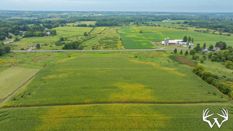 DJI_20260831143205_0015_D.jpg
