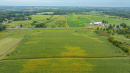 DJI_20260831143205_0015_D.jpg