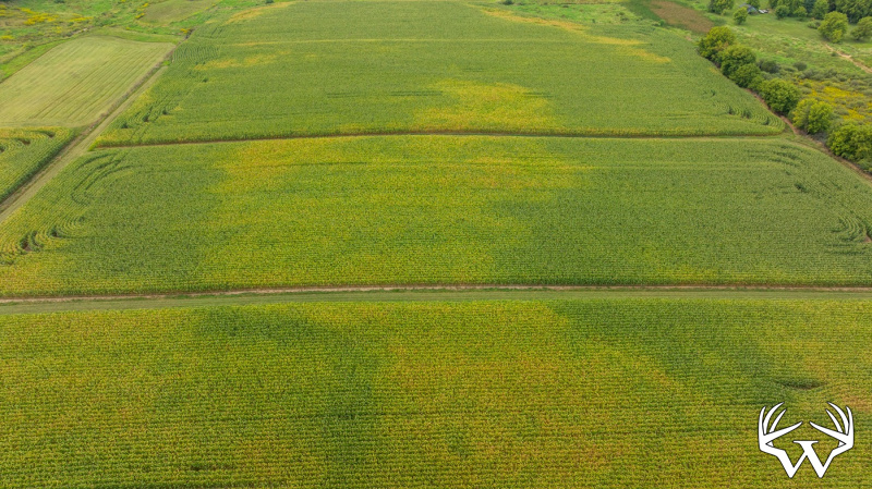 DJI_20260831143213_0016_D.jpg