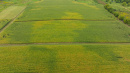 DJI_20260831143213_0016_D.jpg