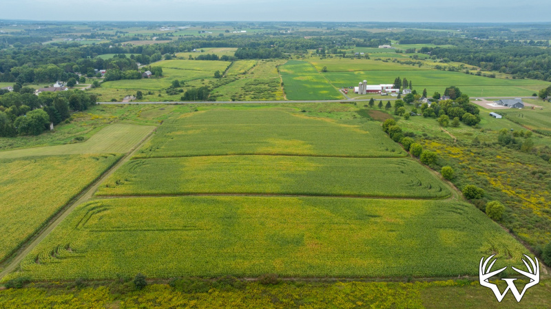 DJI_20260831143231_0017_D.jpg