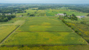 DJI_20260831143231_0017_D.jpg