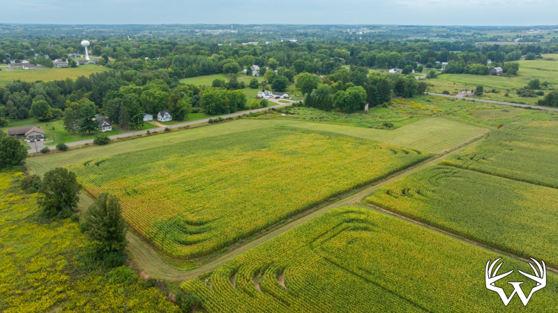 DJI_20260831143252_0019_D.jpg