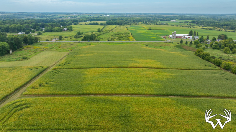 DJI_20260831143257_0020_D.jpg