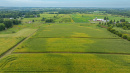 DJI_20260831143257_0020_D.jpg