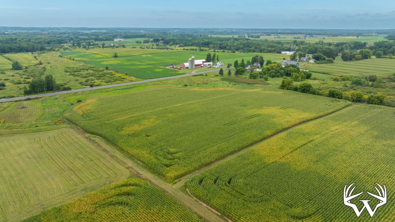 DJI_20260831143327_0022_D.jpg