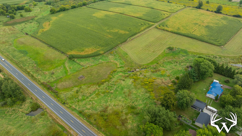 DJI_20260831143416_0023_D.jpg