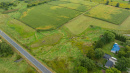 DJI_20260831143416_0023_D.jpg
