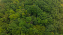 DJI_20260904102829_0048_D.jpg