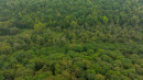 DJI_20260904102903_0050_D.jpg