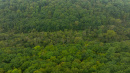 DJI_20260904103125_0054_D.jpg
