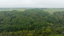 DJI_20260904103203_0055_D.jpg