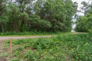 DSC00704.jpg