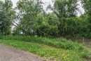 DSC00705.jpg