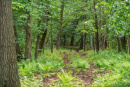 DSC00711.jpg