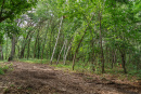DSC00713.jpg