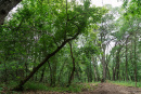 DSC00715.jpg