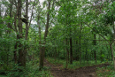 DSC00720.jpg