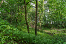 DSC00727.jpg