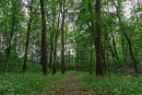 DSC00733.jpg