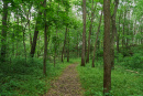 DSC00736.jpg