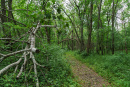 DSC00737.jpg