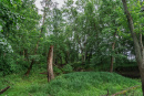 DSC00752.jpg