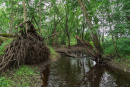DSC00755.jpg