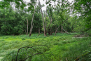 DSC00759.jpg