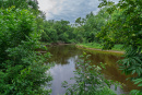DSC00762.jpg