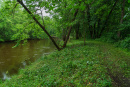 DSC00764.jpg
