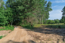 DSC00768.jpg