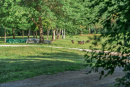 DSC00770.jpg