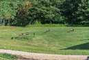 DSC00777.jpg