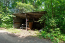 DSC00784_1.jpg
