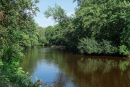 DSC00790.jpg