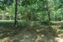 DSC00796.jpg