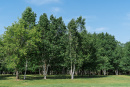 DSC00803.jpg