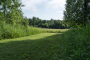 DSC00882.jpg