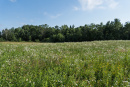 DSC00887.jpg