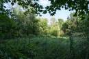 DSC00895.jpg