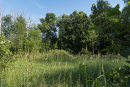 DSC00903.jpg