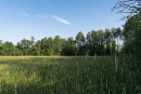 DSC00905.jpg